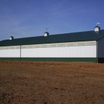 Horse barn farm project with white siding and green roofing